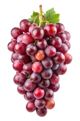 Fototapeta premium bunch of red grapes