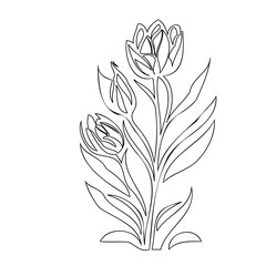 Elegant floral line art showcasing tulips in a minimalist botanical design