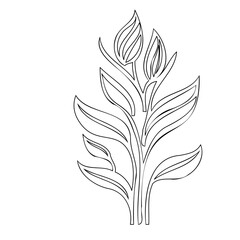 Elegant botanical illustration featuring stylized leaves and budding flower shapes