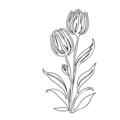 Minimalist botanical illustration featuring tulip buds on long stems with foliage