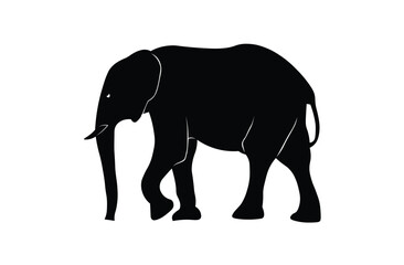 elephant isolated on white background