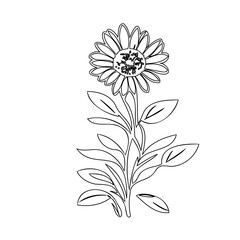 Minimalist Sunflower Outline: A Delicate Floral Sketch on White Background