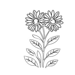 Elegant floral outline illustration featuring symmetrical sunflowers arrangement