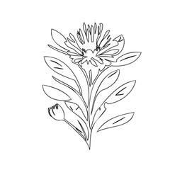 Elegant botanical illustration of a stylized flower with intricate line work design