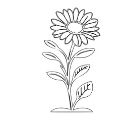 Detailed botanical drawing of a stylized sunflower with linear precision