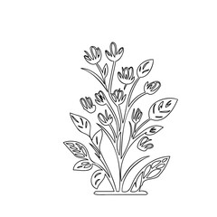 Elegant botanical outline drawing, featuring delicate flowers and leaves in detailed line work