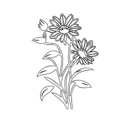 Elegant floral arrangement with delicate line work capturing botanical grace