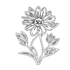 Elegant single line drawing of a detailed floral composition on white backdrop