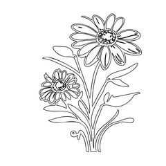 Minimalist botanical sketch featuring daisies with detailed center and delicate leaves