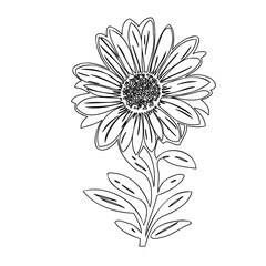 Elegant monochrome floral illustration featuring a stylized sunflower design