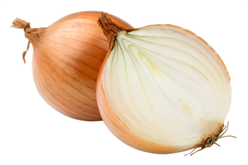 yellow onion isolated on white background