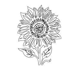 Minimalist Sunflower Outline on White Background for Creative Design Use
