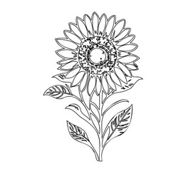 Elegant monochrome sunflower illustration displaying a simple yet intricate design