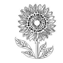 Detailed line drawing of a sunflower with leaves against a white background