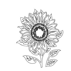 Delicate sunflower line drawing showcasing nature's beauty with minimalistic elegance