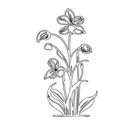 Elegant botanical sketch showcasing stylized orchid blooms and delicate foliage