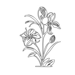 Elegant Floral Arrangement: A Delicate Outline Illustration of Flowers and Buds