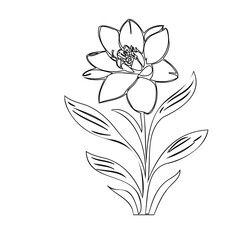 Delicate floral illustration with flowing lines capturing botanical elegance