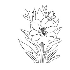 Elegant botanical outline illustration featuring floral elements and graceful petals