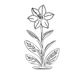 Elegant floral illustration featuring a delicate blossom with graceful foliage