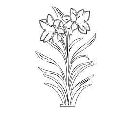 Elegant floral line art: Delicate daffodil illustration with clean outlines