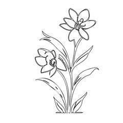 Elegant floral line drawing featuring blooming flowers and delicate foliage
