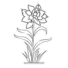 Elegant floral contour drawing, delicate botanical form on a plain white backdrop