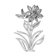 Elegant floral line art with intricate petals and stylized foliage pattern