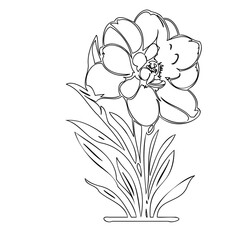 Elegant floral drawing with a blooming flower and flowing leaves in line art