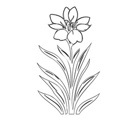 Elegant floral depiction, a minimalist design conveying nature's charm and beauty