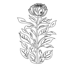 Elegant floral line art illustration featuring a blooming flower and stylized leaves