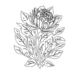 Elegant Floral Outline: A Detailed Botanical Illustration with Refined Simplicity