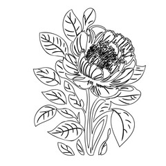 Elegant monochrome floral illustration with stylized blossom and leaf arrangements