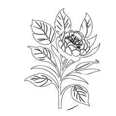 Floral illustration exhibiting a delicately rendered blossom with surrounding foliage