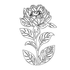 Floral elegance: Detailed botanical outline drawing of a peony-like bloom