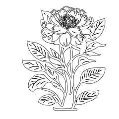 Elegant floral illustration with intricate blossom and leaf details in black and white
