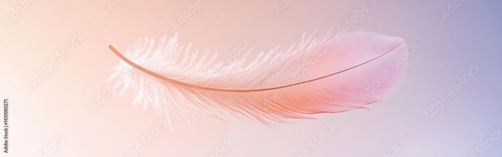 Poster soft silhouette of a feather falling in pastel pink and purple gradient with airy, minimalist design