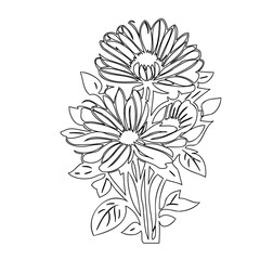 Elegant floral line art illustration with daisy flowers and leaf arrangement