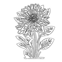 Elegant monochrome contour drawing of a blooming dahlia with detailed petals