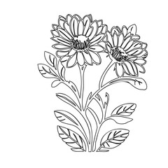 Delicate floral illustration featuring stylized blossoms and foliage linework design