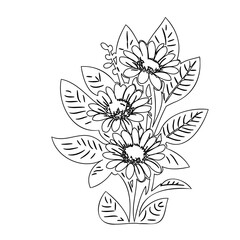 Elegant botanical illustration featuring detailed gerbera flowers and foliage outlines