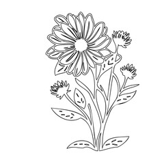 Minimalist botanical illustration of a daisy, perfect for creating seamless patterns