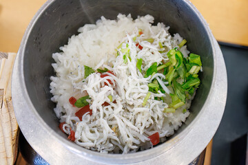 しらすのひつまぶしとアジフライ、煮込みうどんなどの定食。
道の駅でランチを食べる。
三島市、静岡県-2025年3月30日
