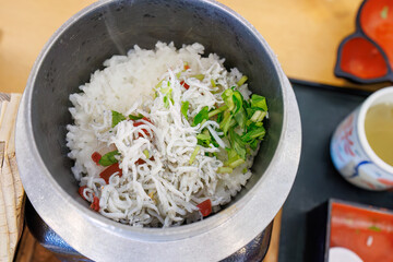 しらすのひつまぶしとアジフライ、煮込みうどんなどの定食。
道の駅でランチを食べる。
三島市、静岡県-2025年3月30日
