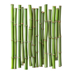Fototapeta premium Fresh green bamboo stalks arranged png