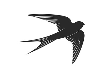 Barn Swallow vector silhouette illustration isolated on white background