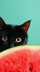 Curious Black Cat Peeking Over Watermelon Slice – Cute Summer Pet Concept