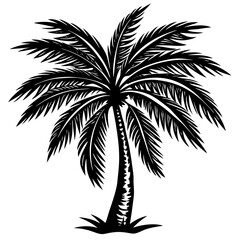 Obraz premium palm tree silhouette