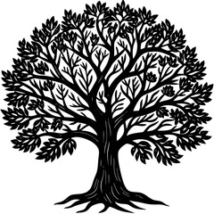 Fototapeta premium Banyan tree