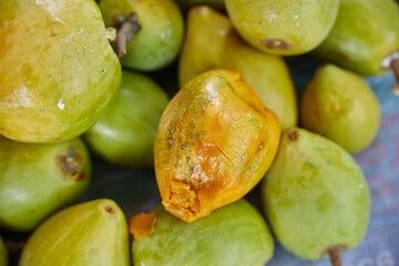 Close-up view of ripe Pouteria Campechiana fruit